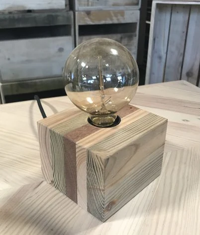 Photographie originale de Edison multipins