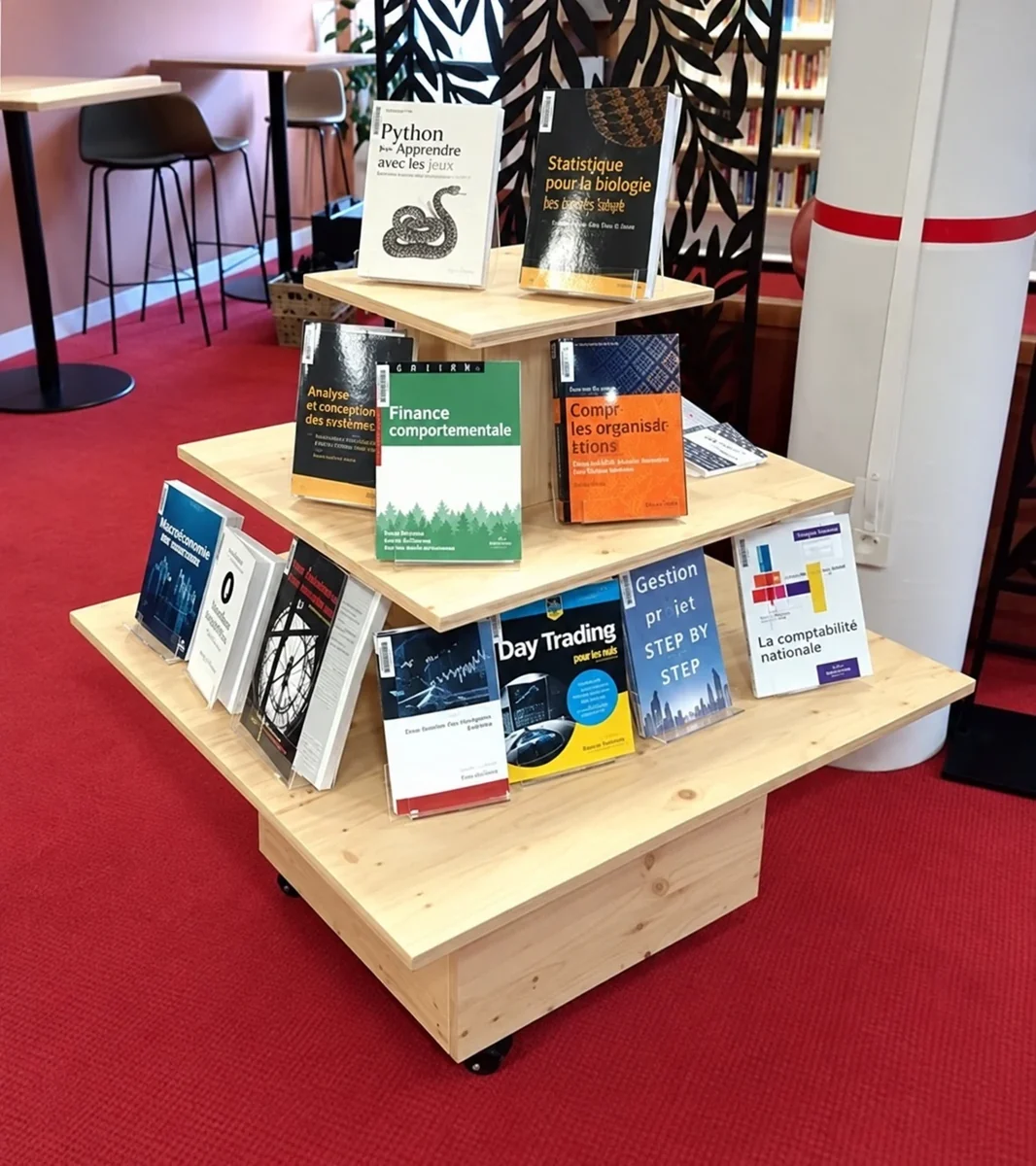 Rayonnage de bibliothèque — création Flarr